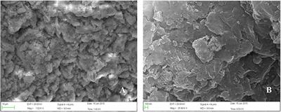 Identification of Plant Soot as Novel Safe Feed Additive: Evaluation of 90-Day Oral Toxicity and Prenatal Developmental Toxicity in Rats